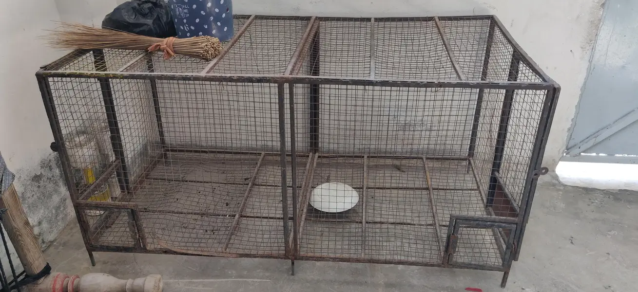 metal cag for pets/ Murgio ka pinjra/ WhatsApp 03104829946 — photo 4