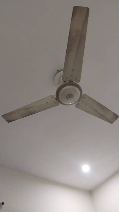 For sale fans