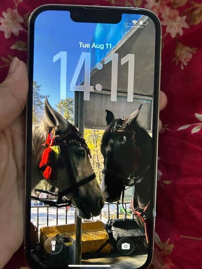 Apple iPhone 13 Pro