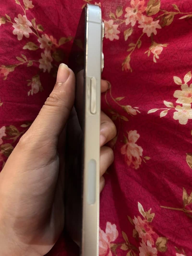 Apple iPhone 13 Pro 1