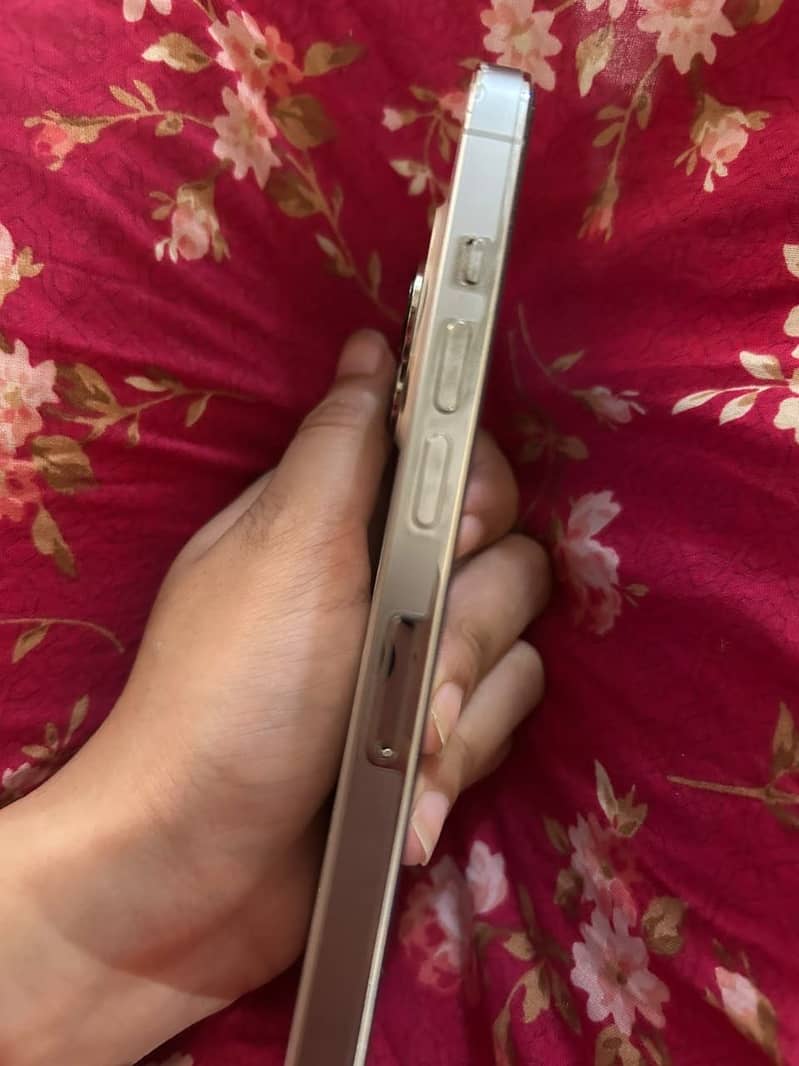 Apple iPhone 13 Pro 3