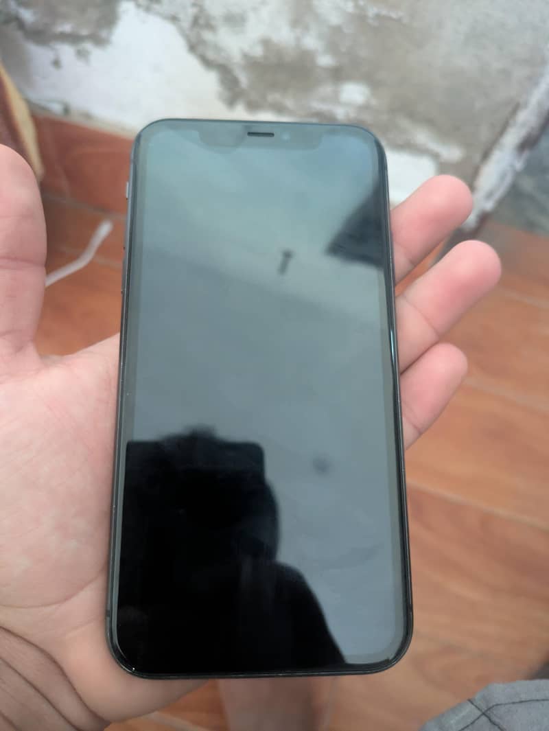Apple iPhone 11 0