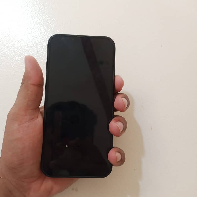 Apple iPhone 13 0