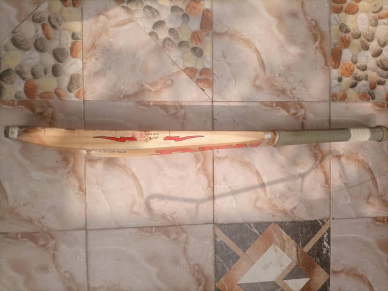 hard ball bat 1