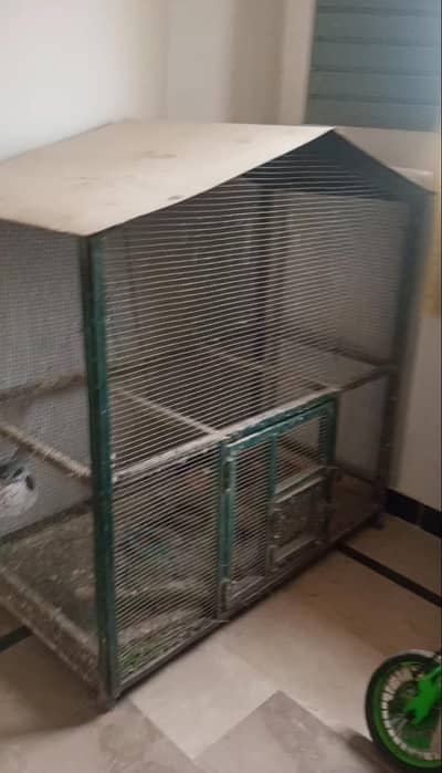 iron cage