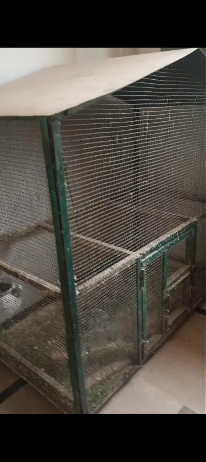iron cage — photo 3