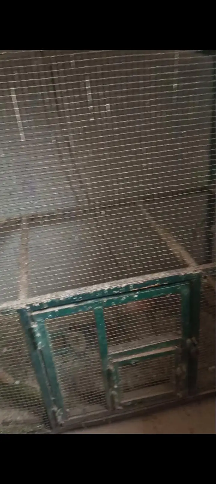 iron cage — photo 4