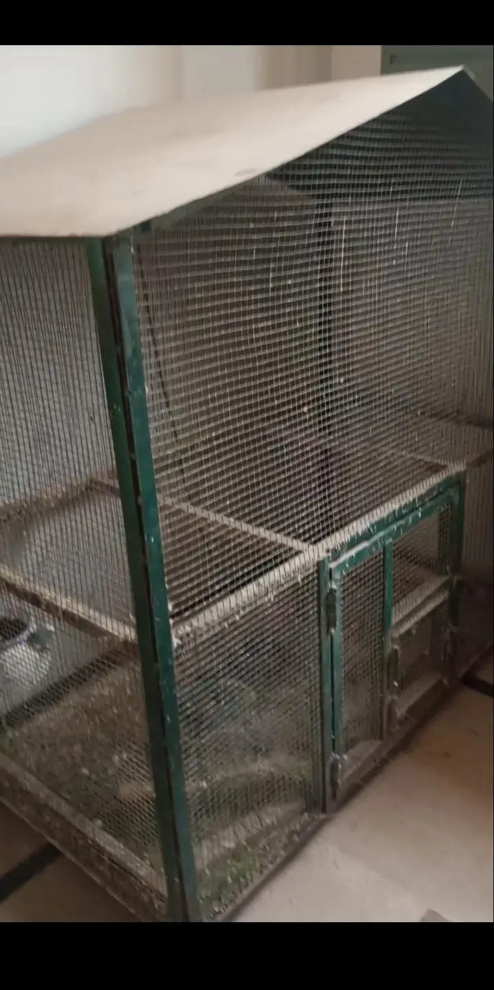 iron cage — photo 5
