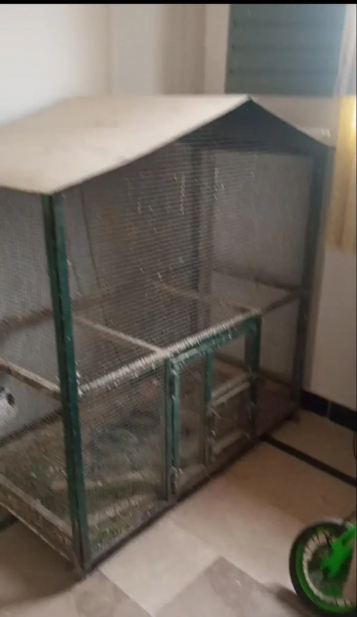 iron cage — photo 6