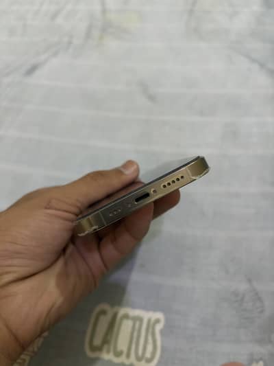 iPhone 14 Pro