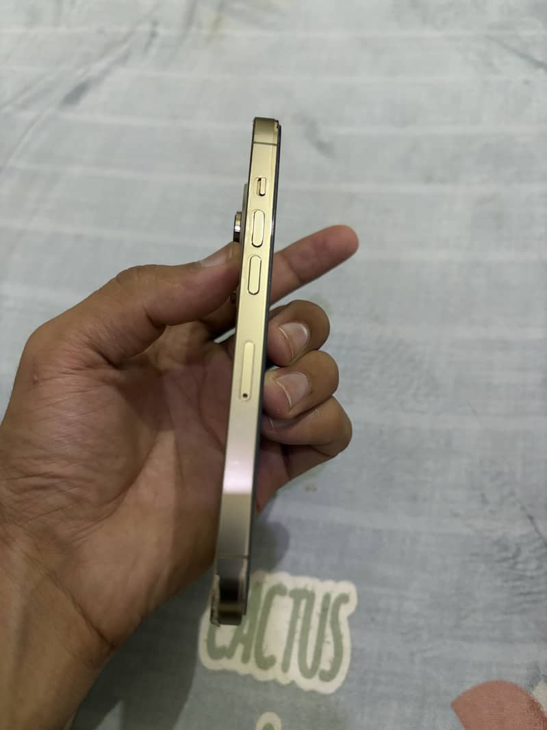 iPhone 14 Pro 5