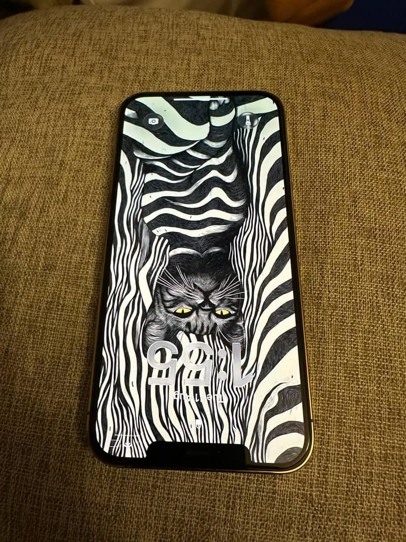 Apple iPhone 12 Pro Max 4