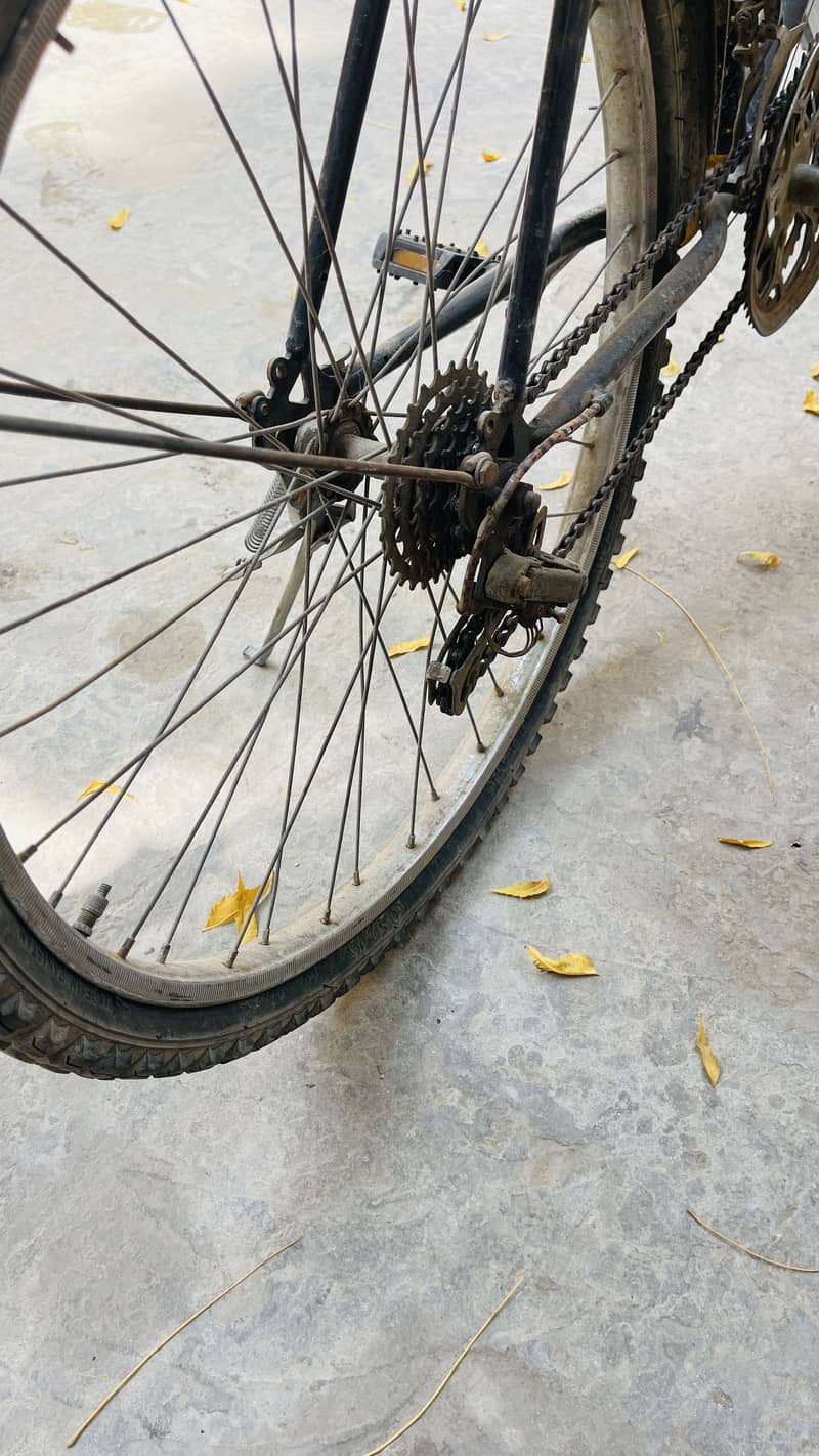 Bicycle 1