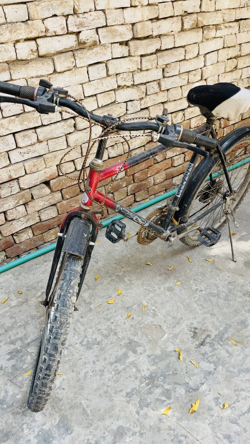 Bicycle 2
