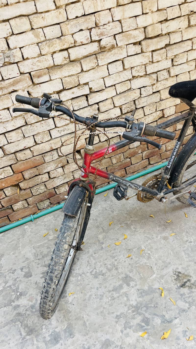 Bicycle 3