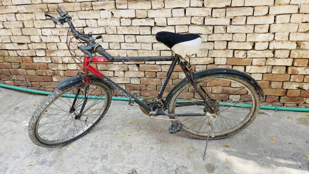 Bicycle 4