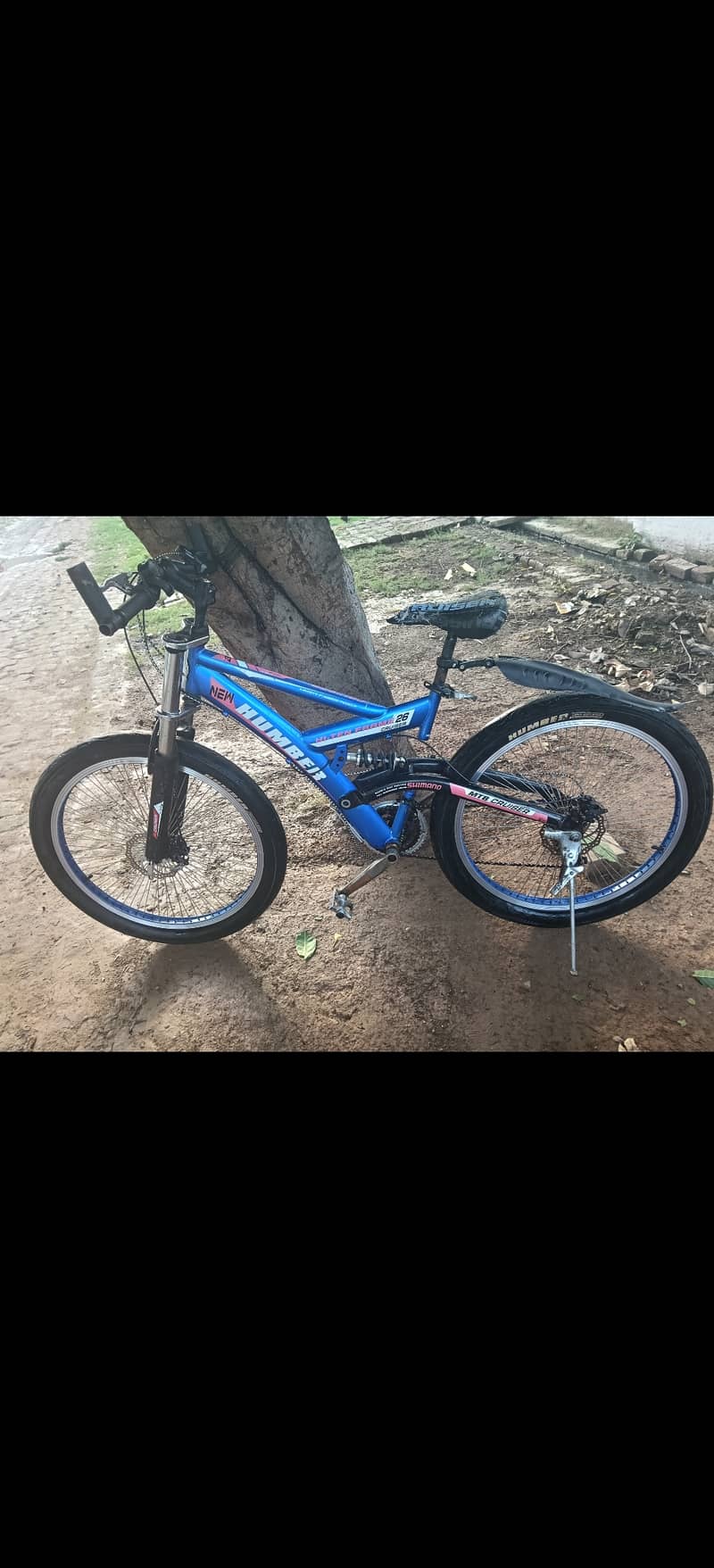 Imported bicycle 1