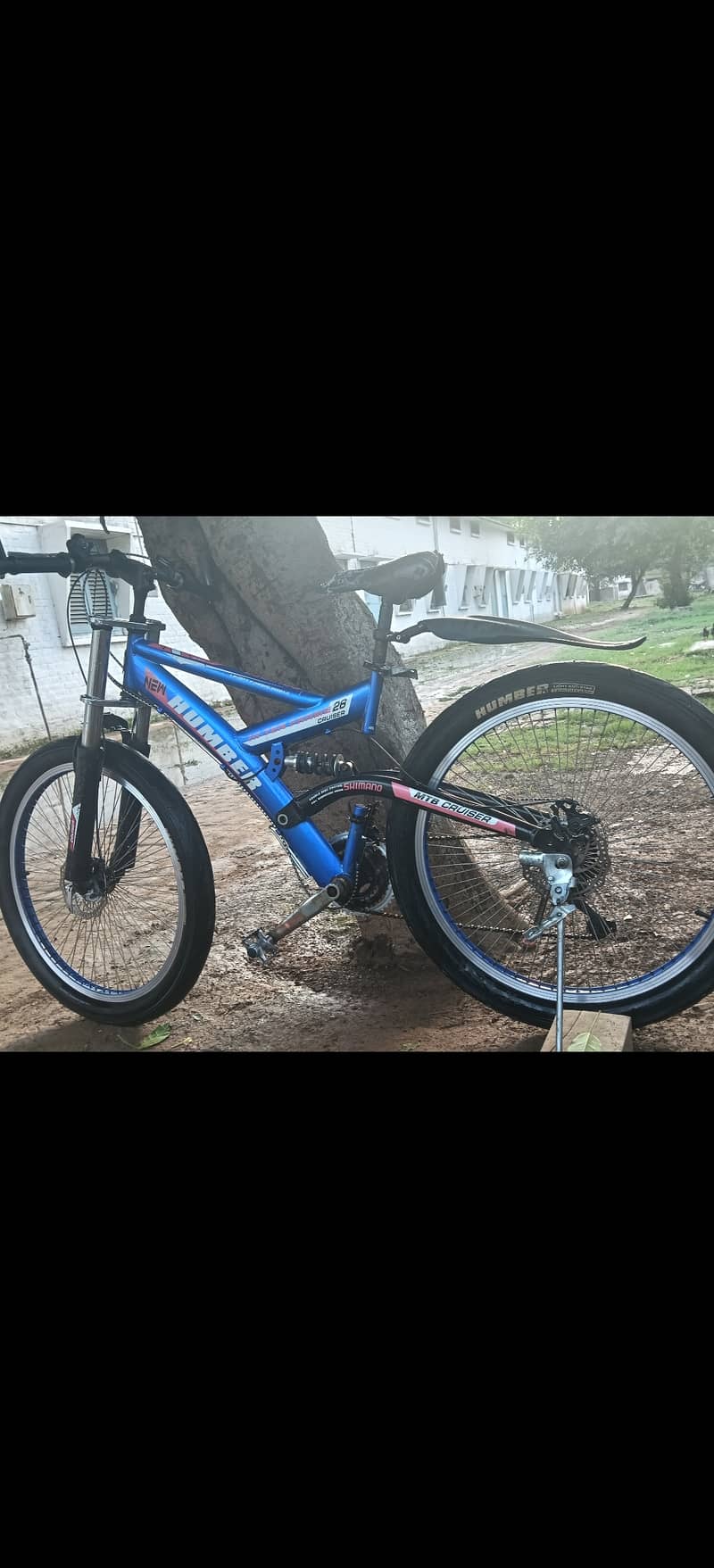Imported bicycle 2