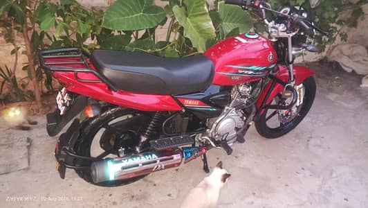 YAMAHA ybz 125- DX
