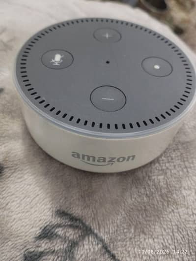 Alexa Google Assistant Amazon
