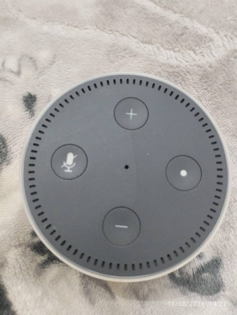 Alexa Google Assistant Amazon 1