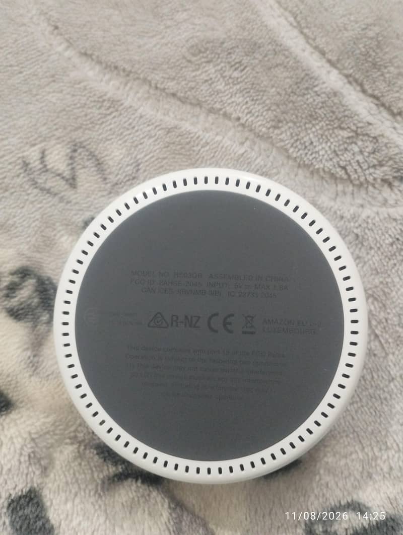 Alexa Google Assistant Amazon 3