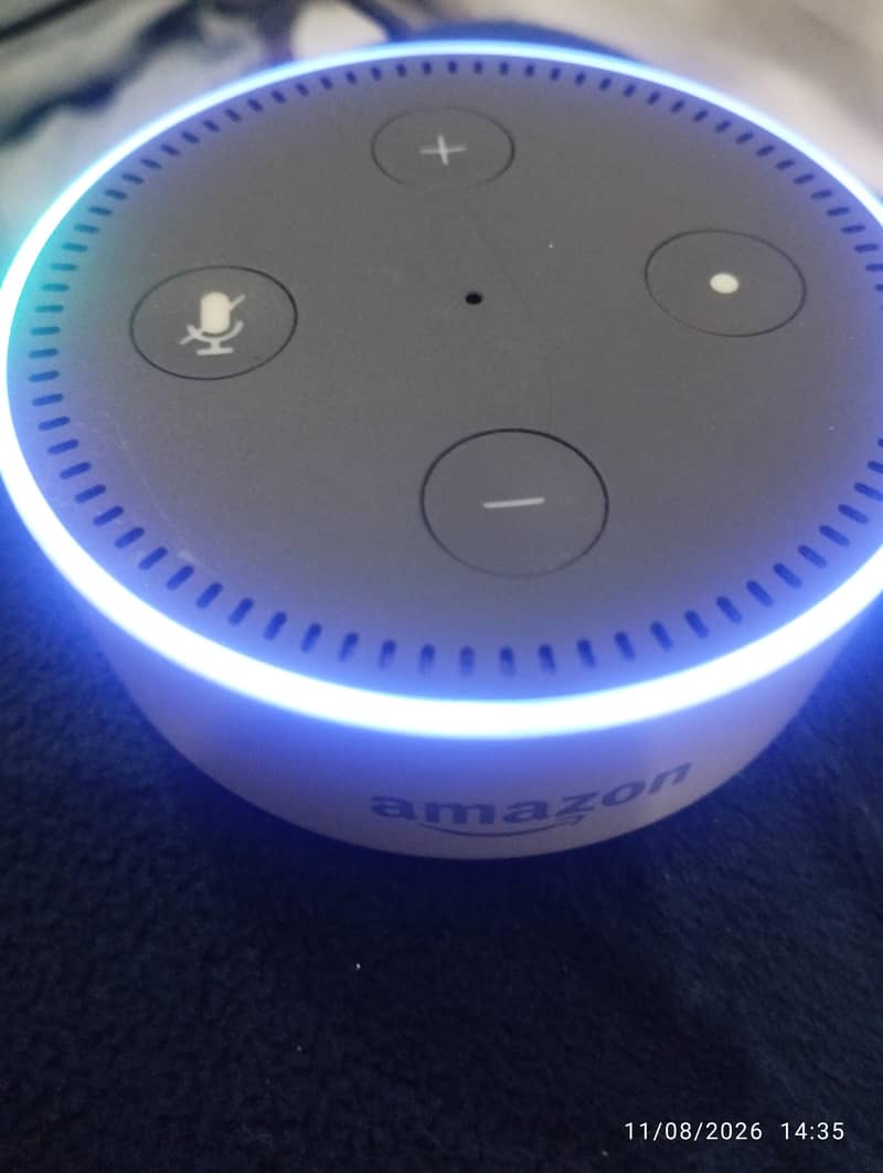 Alexa Google Assistant Amazon 8
