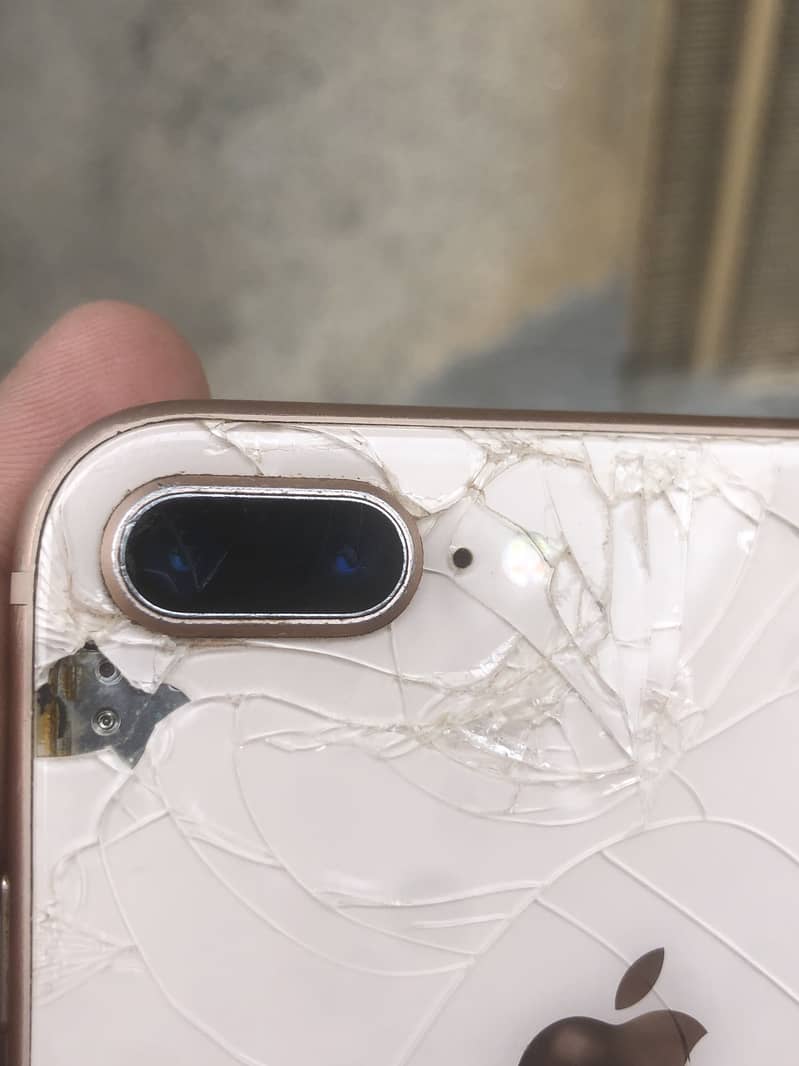 Apple iPhone 8 Plus 0