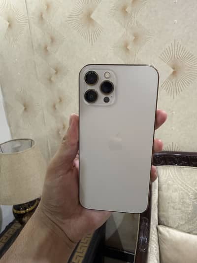 Apple iPhone 12 Pro Max