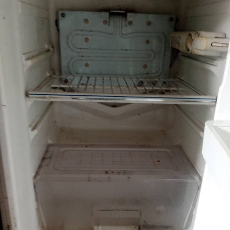 Freezer 1
