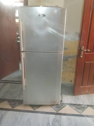 medium size fridge.