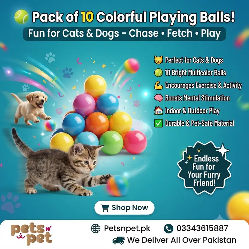 All Cat food Dog food pet supllies for your pet — photo 3