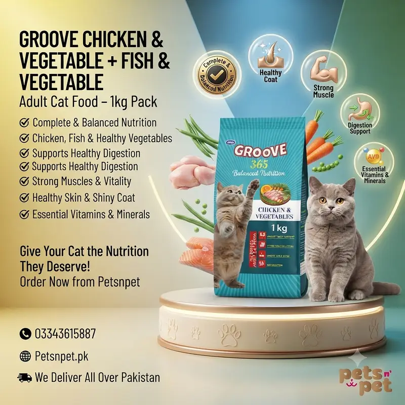 All Cat food Dog food pet supllies for your pet — photo 4