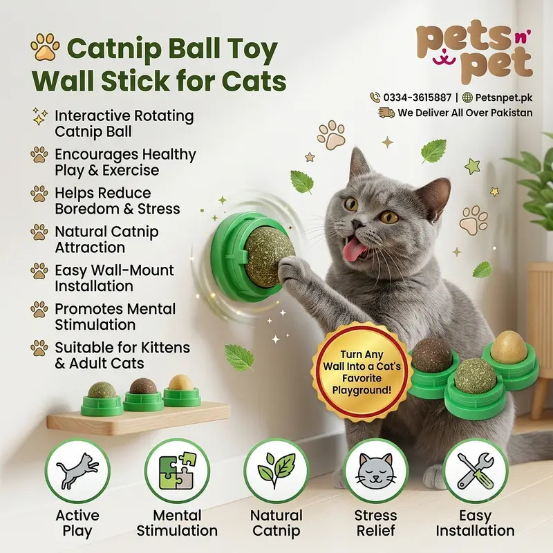 All Cat food Dog food pet supllies for your pet — photo 8