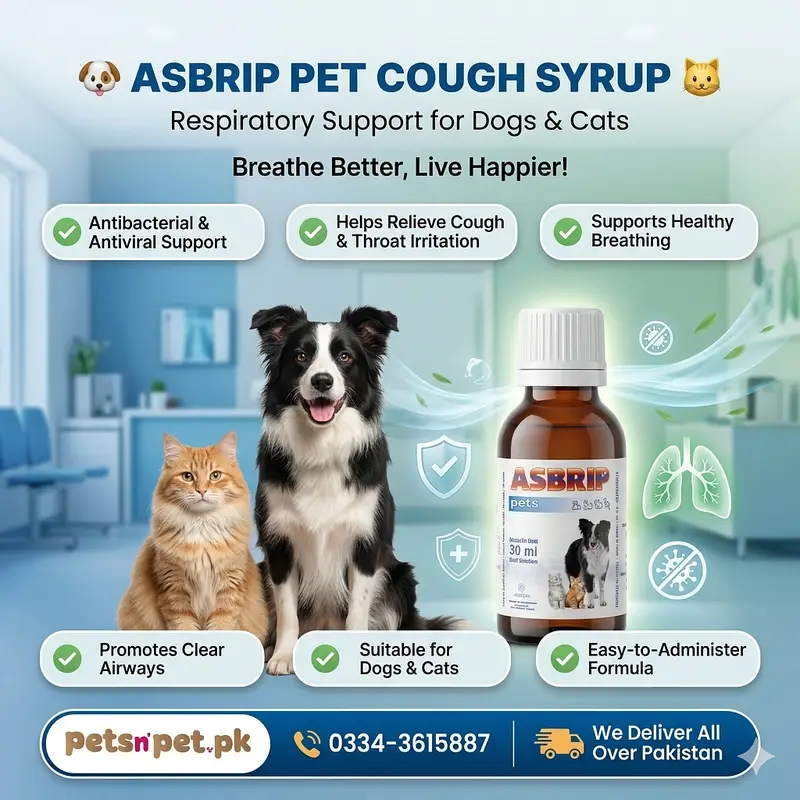 All Cat food Dog food pet supllies for your pet — photo 11