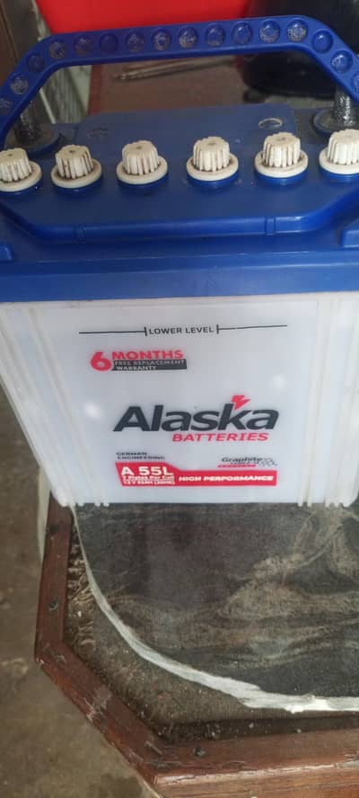 Alaska betry 55 ampiyar