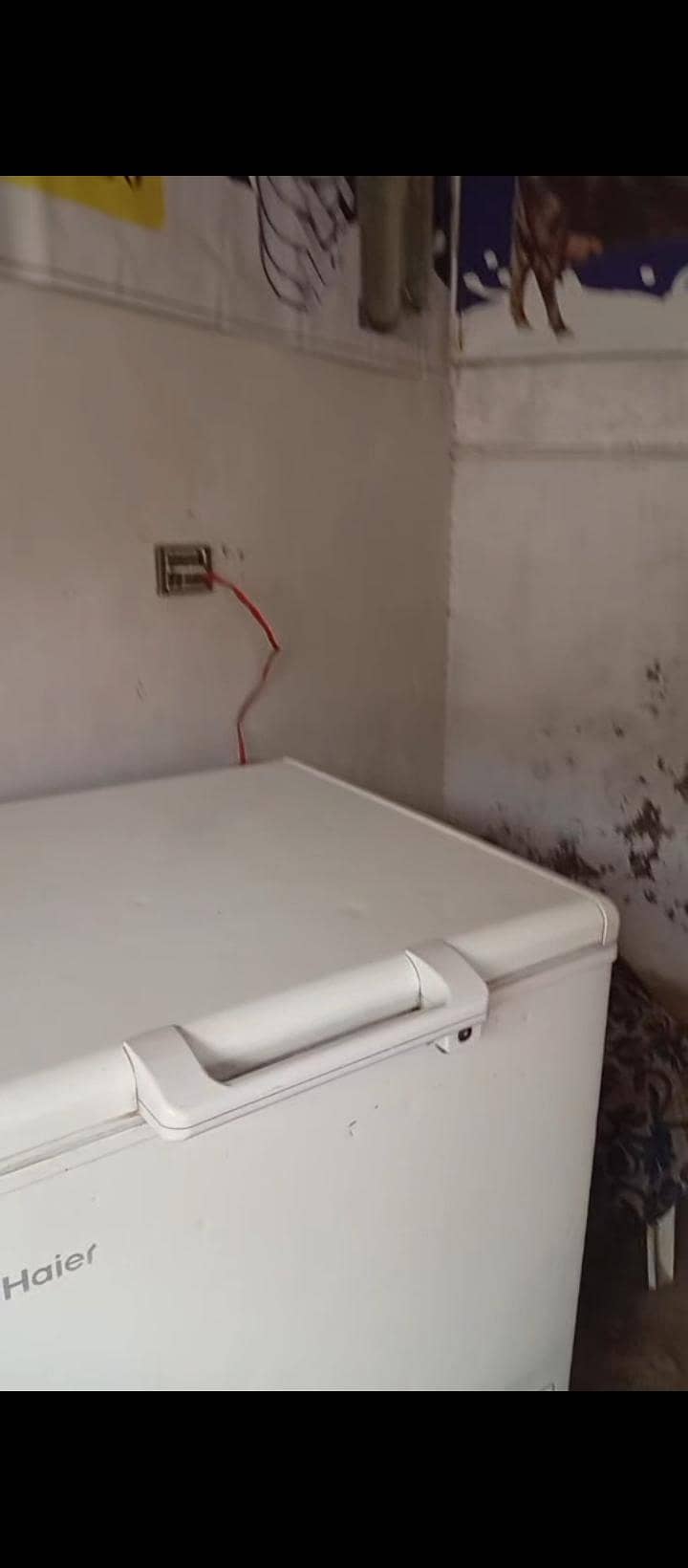 D Freezer 4