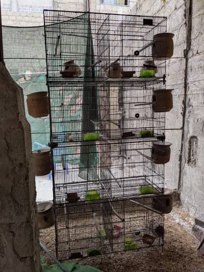 Birds Cage for sell