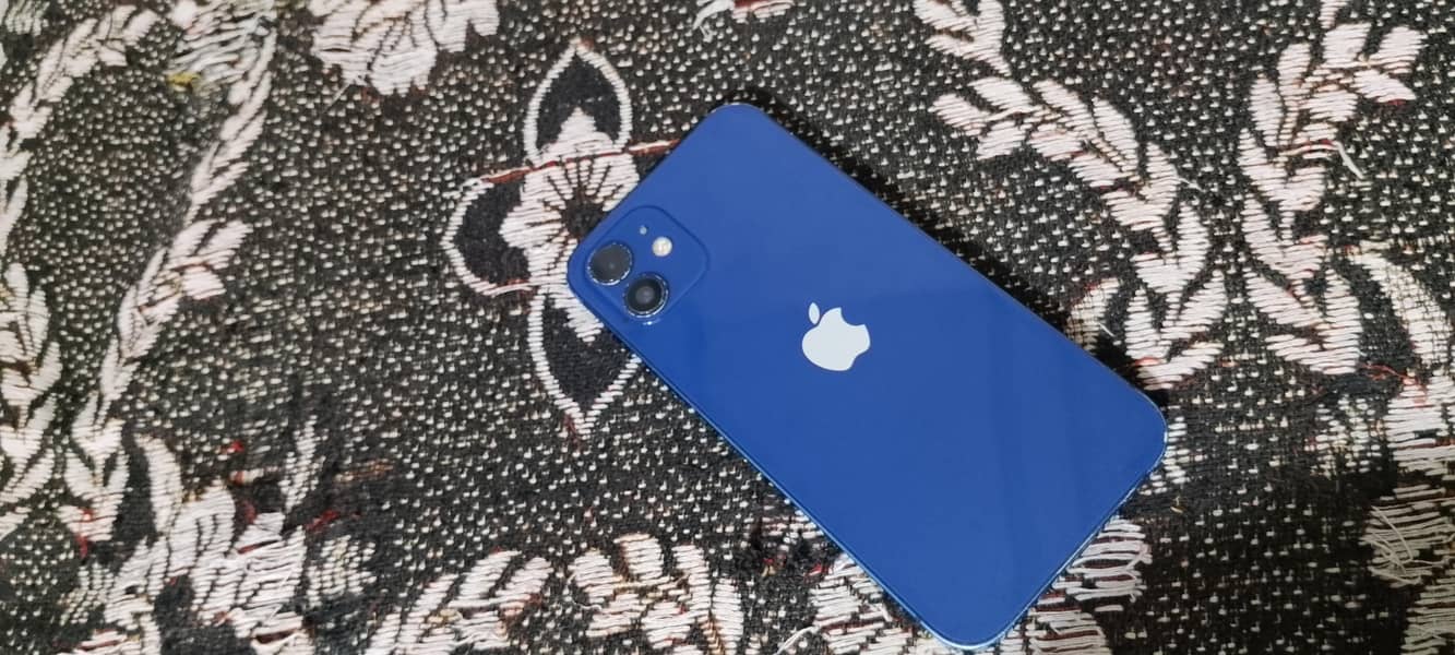 Apple iPhone 12 1