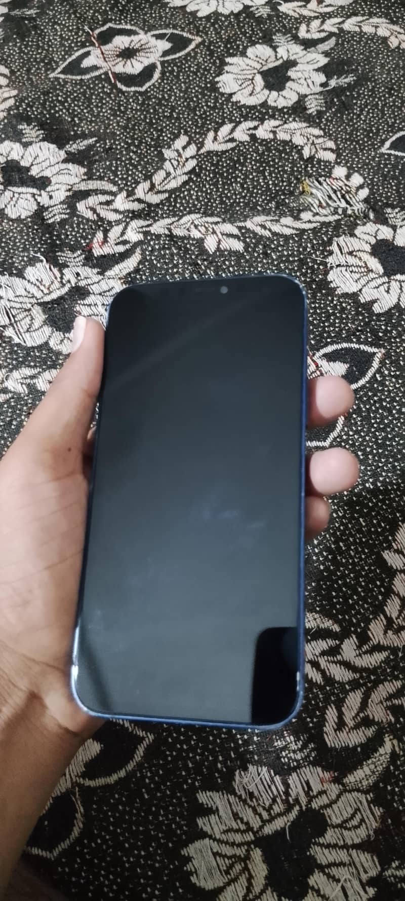 Apple iPhone 12 6