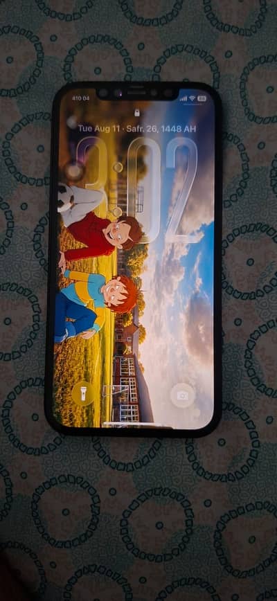 Apple iPhone 12 Pro