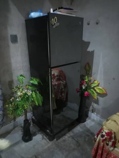 pel refrigerator Medium size