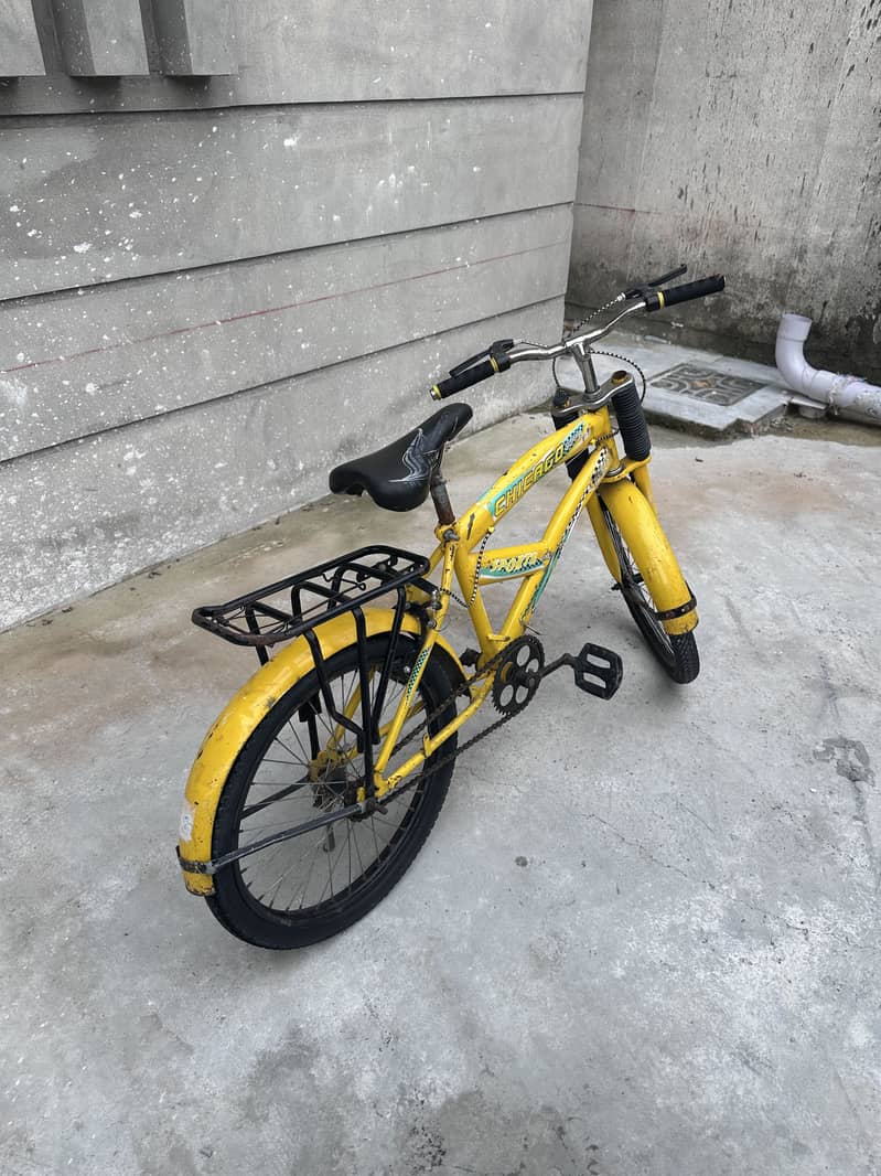 Children bicycles 1