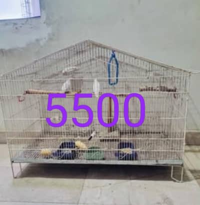 cage for birds
