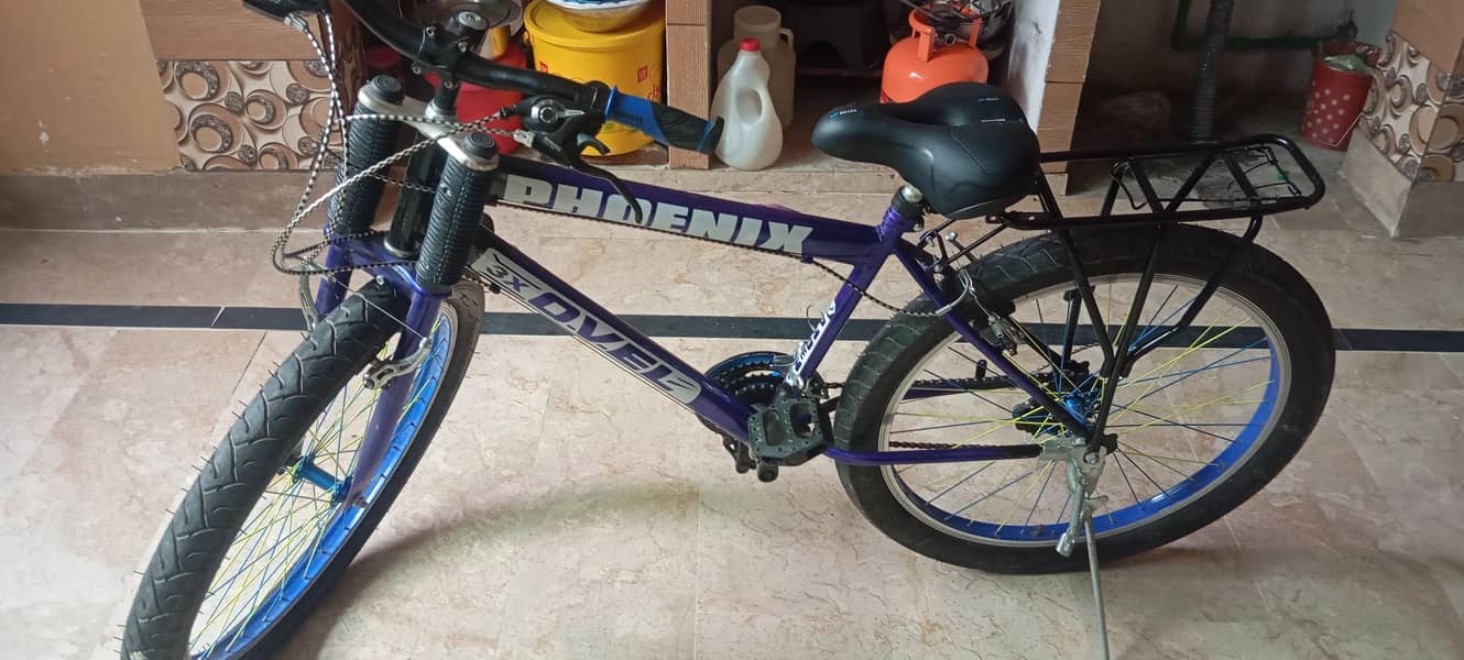 phoneix cycle 0