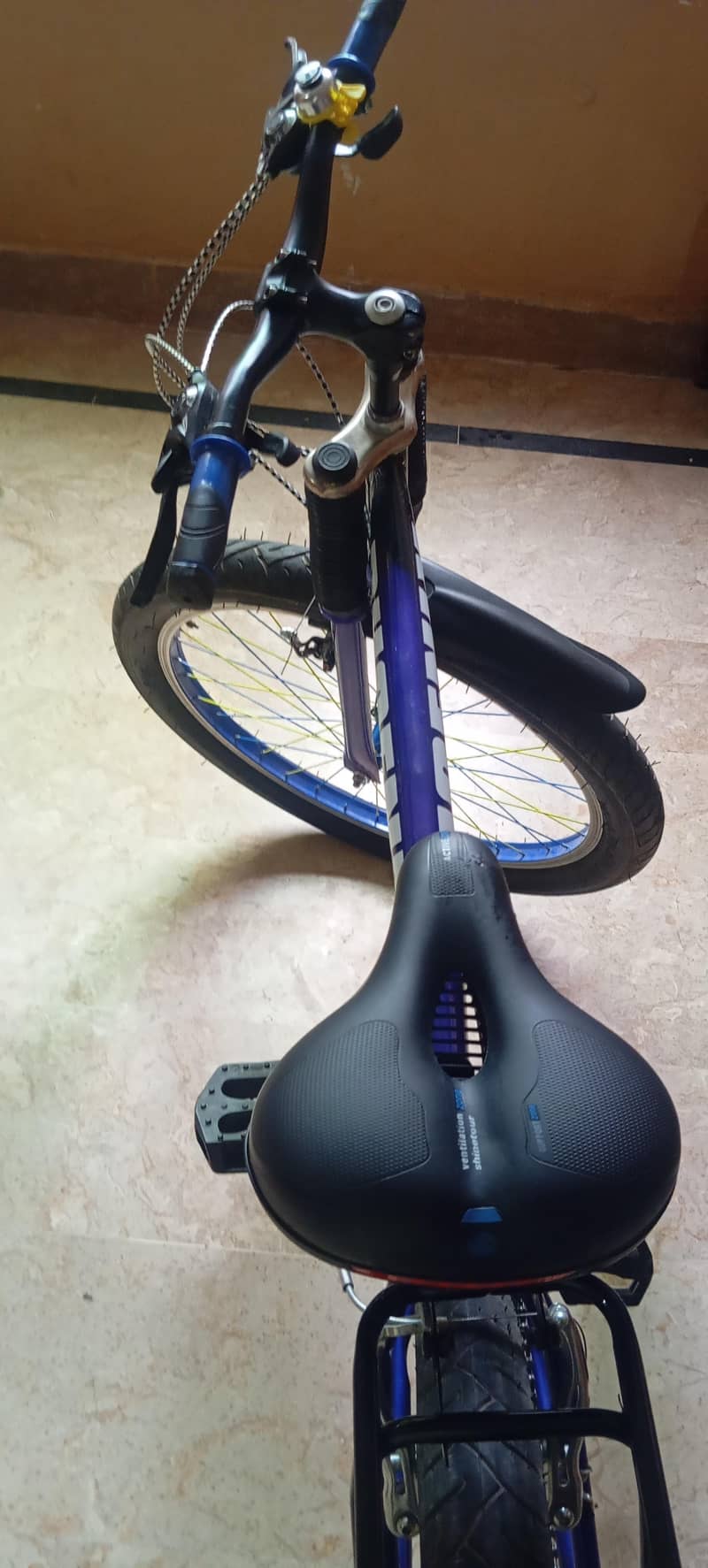 phoneix cycle 1