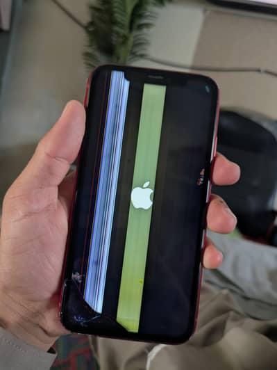 Apple iPhone XR