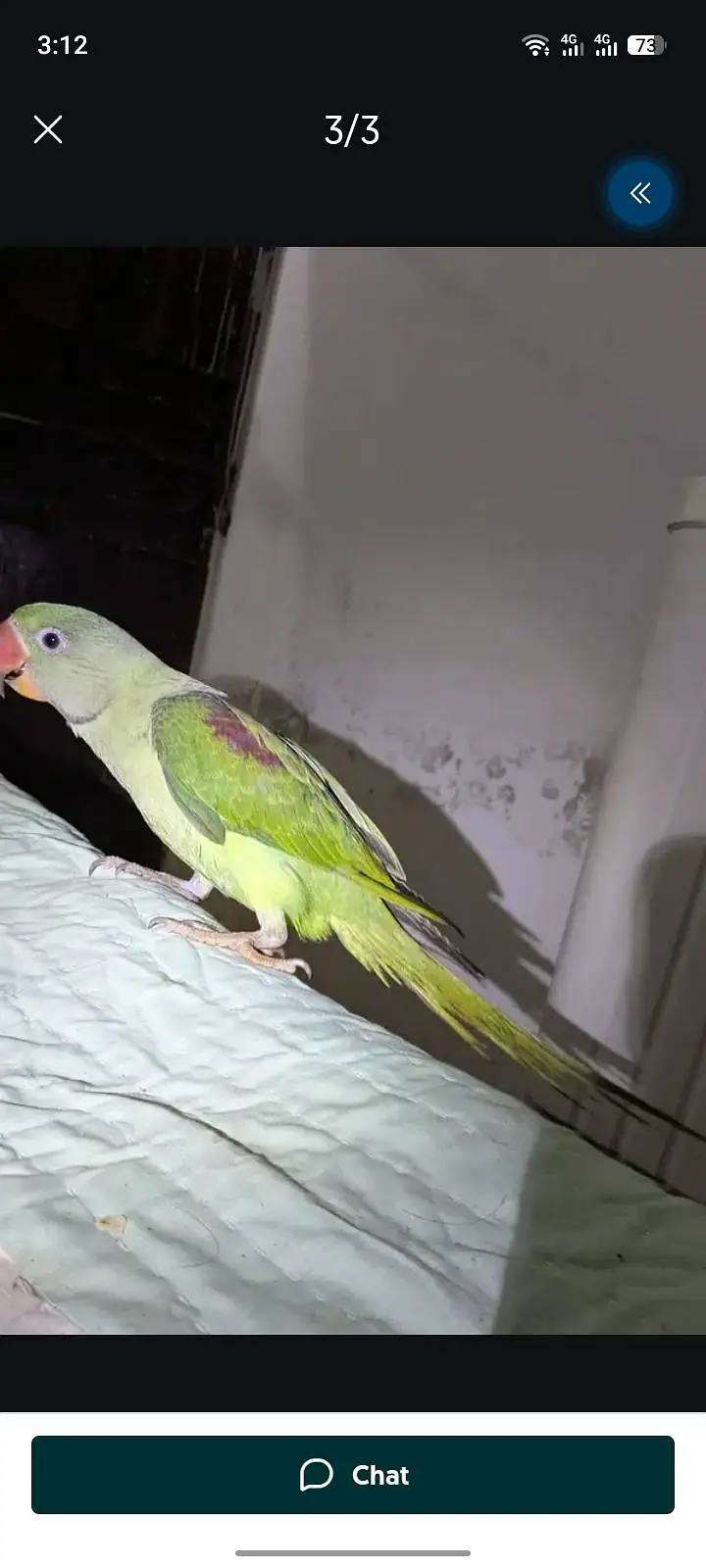 rawparrt ha 5 mantha ka bacha ha — photo 3