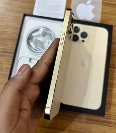Apple iPhone 13 Pro Max