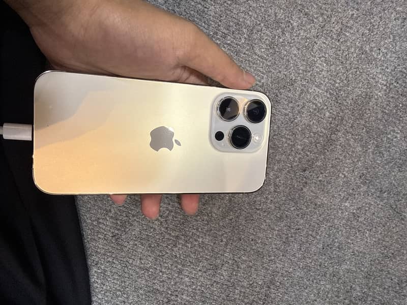 Apple iPhone 14 Pro 1